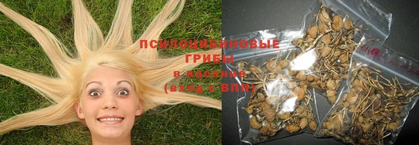 хмурый Новодвинск