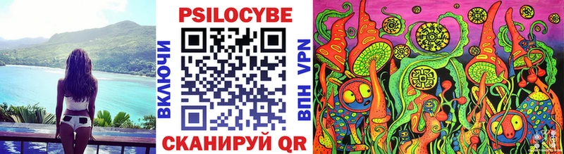 купить наркотик  Саяногорск  Галлюциногенные грибы Psilocybine cubensis 